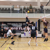Sporting Schools